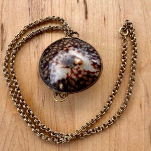 May include: A necklace featuring a polished, oval-shaped seashell pendant with a mottled brown, black, and white pattern. The shell is encased in a thin gold-toned metal frame and hangs from a matching gold-toned metal chain with round links.