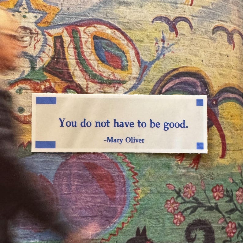 May include: A fortune cookie with the text "You do not have to be good. -Mary Oliver" in blue font. The fortune cookie is set against a colourful, patterned background with floral and abstract designs.