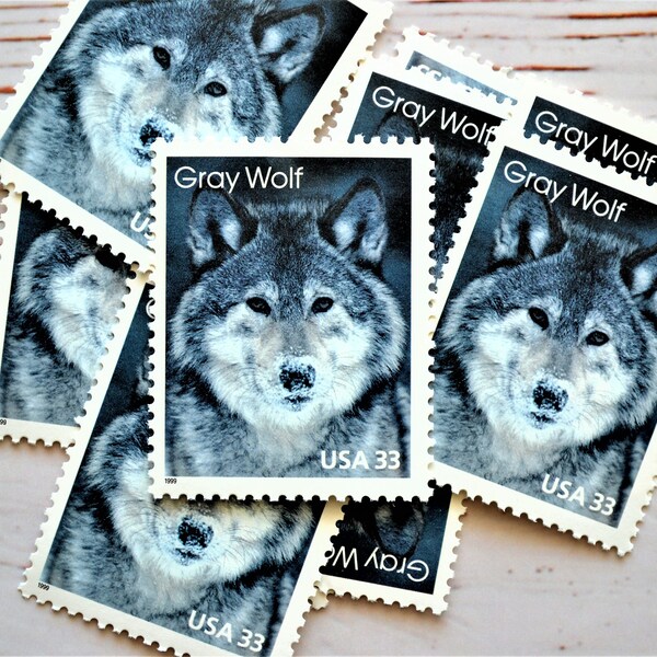 Rubber Stamps Wolf Etsy