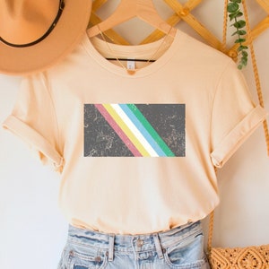 Disability Pride Flag Shirt, Disability Awareness Tee, Inclusion T-Shirt, Accessibility TShirt, Disability Rights Top, Neurodiversity Gift