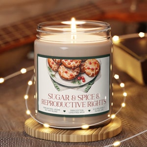 Feminist Gift, Sugar and Spice and Reproductive Rights Candle, Pro Choice Soy Candle, Roe V Wade Scented Candle, Equal Rights 9 oz Candle