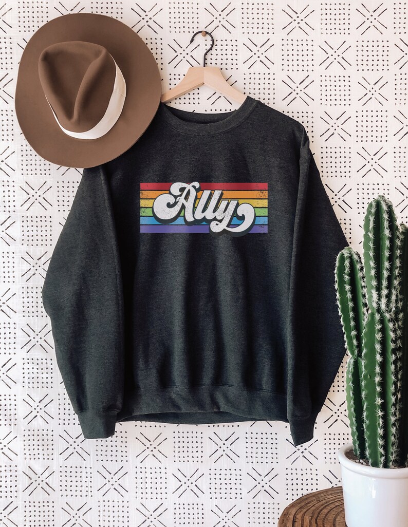 Pu&ograve; includere: Una felpa grigia scura con un design a strisce arcobaleno e la parola "Ally" in un font retr&ograve;.