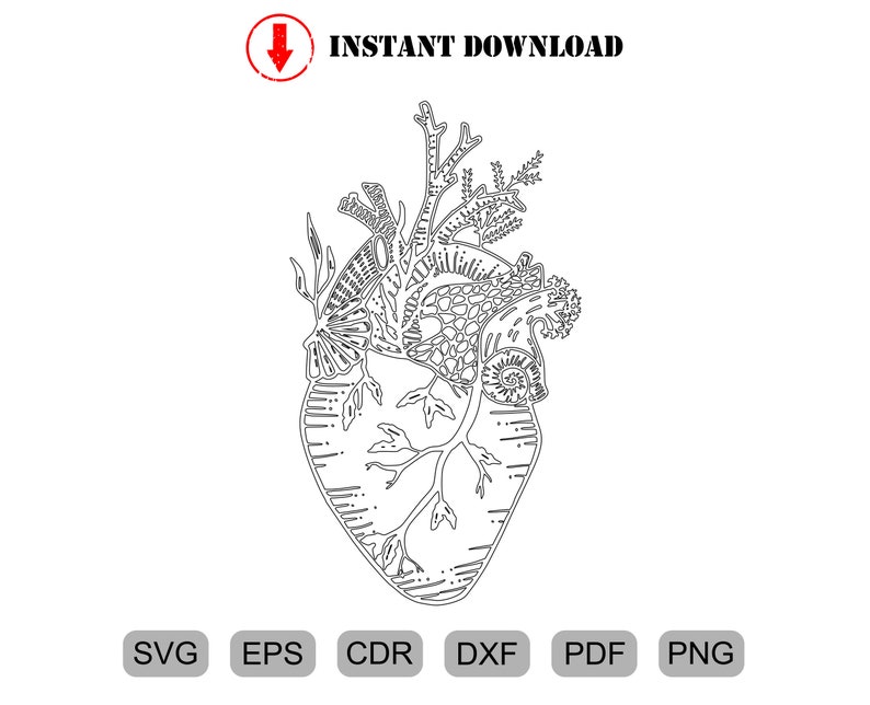 Download Cricut Cameo Studio Heart Svg Medical Doctor Anatomy Anatomical Heart Svg Cutting File Png Nurse Life Human Heart Clip Art Decal Dxf Digital Art Collectibles Delage Com Br