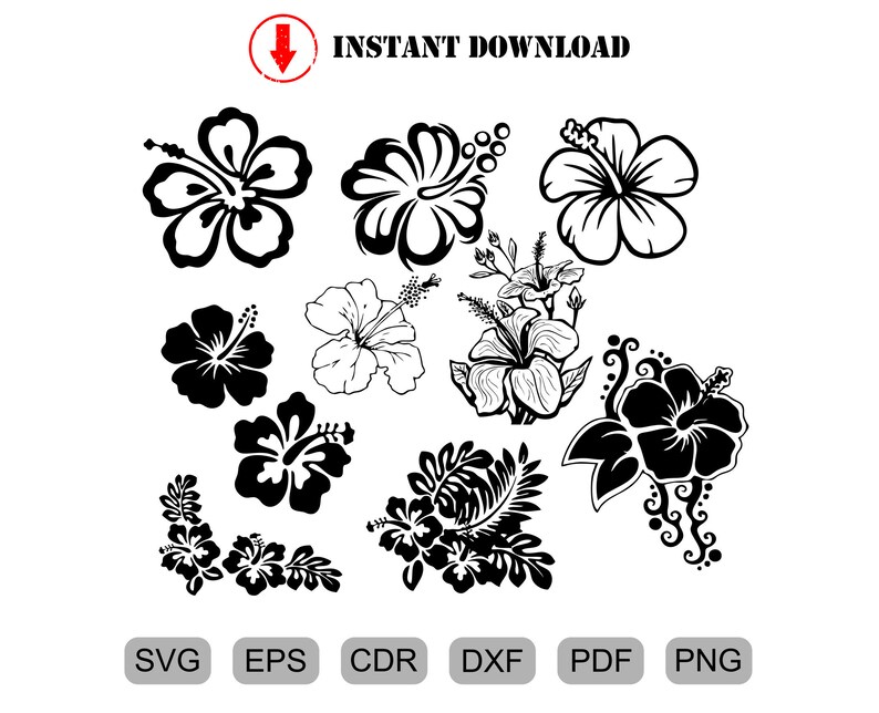 Download Svg Flowers Svg Bundle Leaves Svg Png Eps Rose Svg Bundle Flowers Clipart Cut Files For Cricut Silhouette Drawing Illustration Art Collectibles Delage Com Br