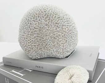 Brain Coral Ornament Sculpture Small Faux