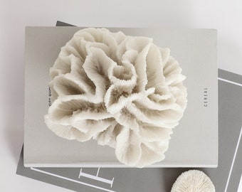 Escultura de adorno de coral de resina sintética pequeña