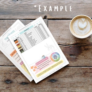 A mock-up of what the cross stitch pattern looks like. There are two pages. Here, the color key with DMC colors is displayed. The pattern also contains instructional pages, tips and tricks, information about copyright, logo and social media links.