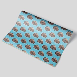 May include: A roll of wrapping paper with a repeating pattern of brown cartoon faces on a light blue background. The paper is partially unrolled, revealing the pattern.