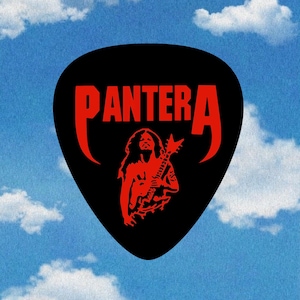 Dimebag Pick
