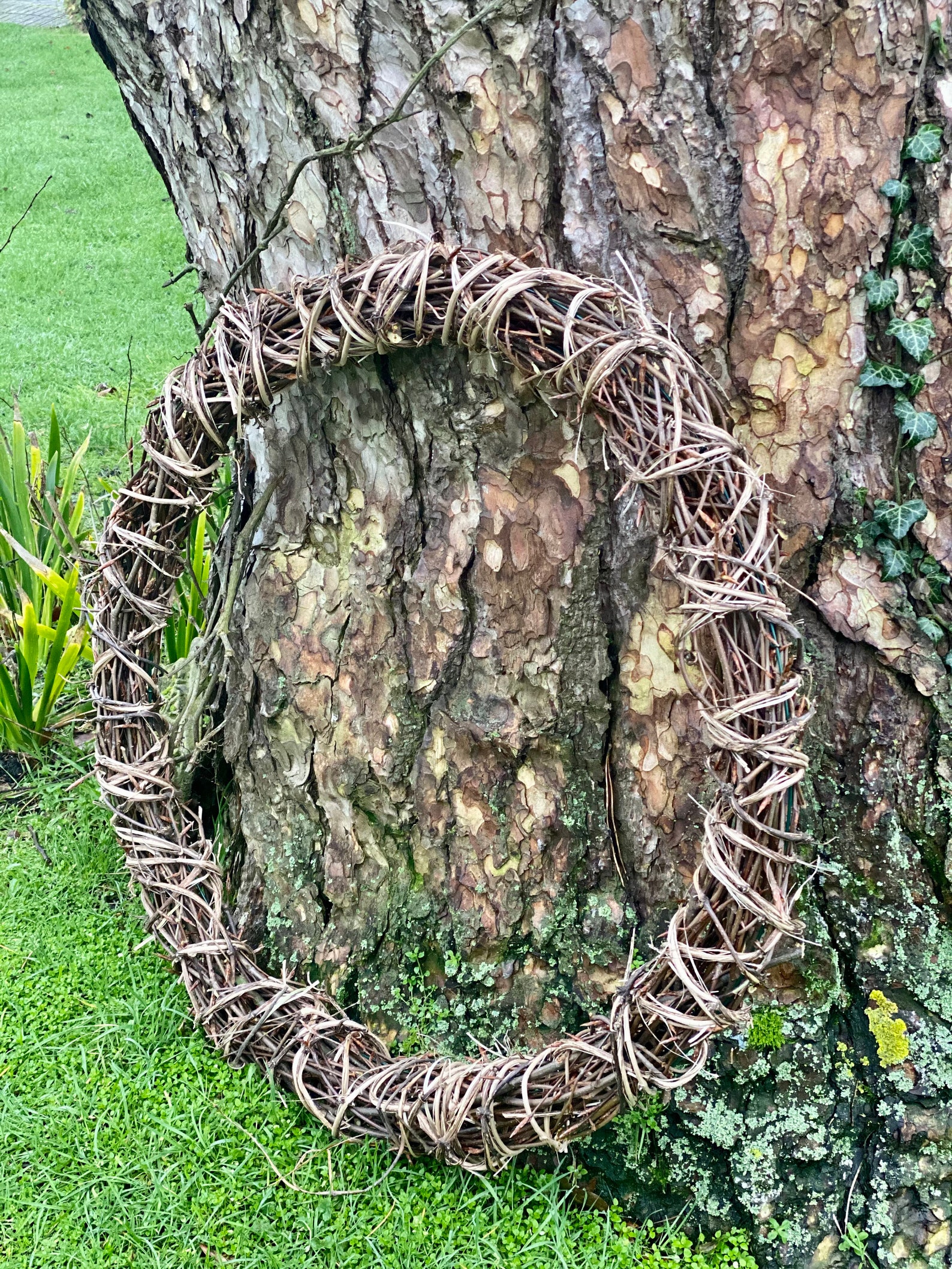 Giant Willow Rattan Natural Wreath 30 Rustic Style Etsy
