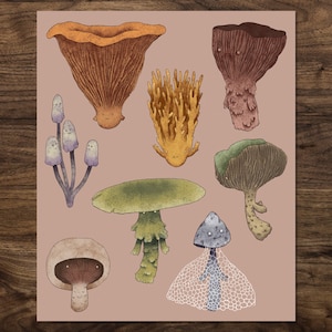 Fungi - ART PRINT | Mushrooms Painting | Nature illustration