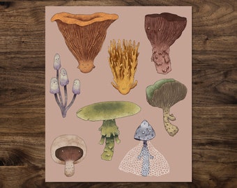 Fungi - ART PRINT | Mushrooms Painting | Nature illustration