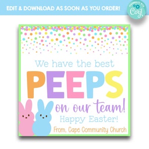 EDITABLE We Have the Best Peeps On Our Team Easter Appreciation Favor Tags | Staff Peeps Gift Tags for Easter | Printable Easter Gift Tags