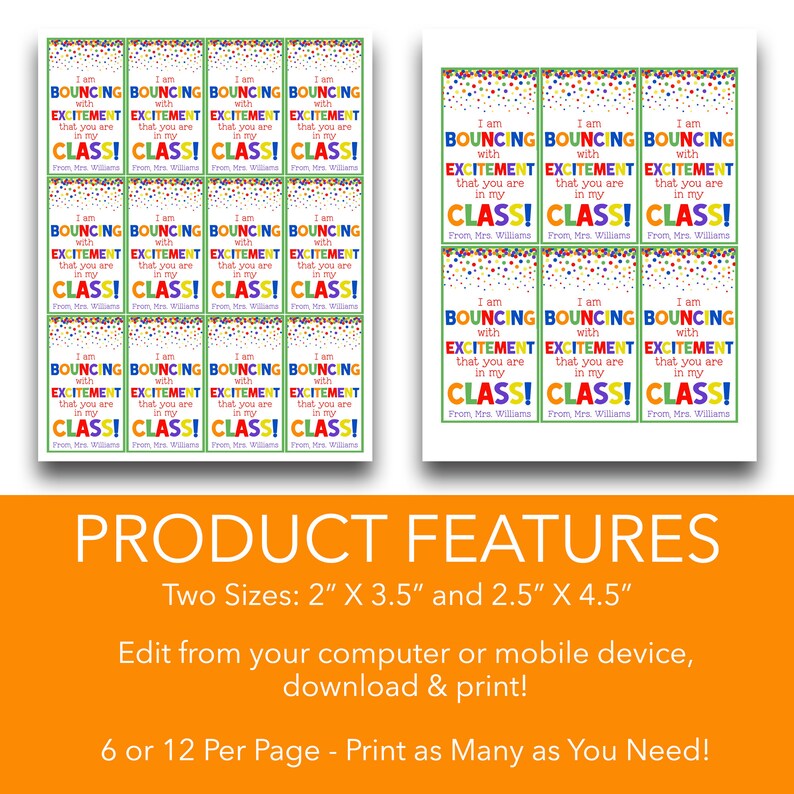 EDITABLE Bright Back to School Survival Kit Tags | I Am Bouncing With ...