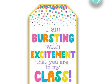 Op de afbeelding: Een kleurrijk label met de tekst "I am BURSTING with EXCITEMENT that you are in my CLASS!" in grote, veelkleurige letters. Het label heeft een gele rand en is versierd met confetti. De tekst "From, Mrs. Williams" staat onderaan.