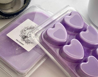 Fondant de cire de soja à double coque de baies sauvages - Parfum puissant, parfum d'intérieur longue durée, coulé à la main