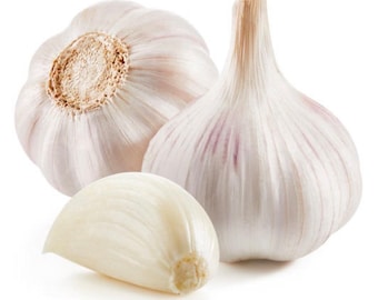 GARLIC OIL