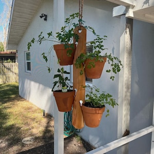 Cedar wooden terra cotta planter garden.  Indoor/Outdoor herb garden hanging.