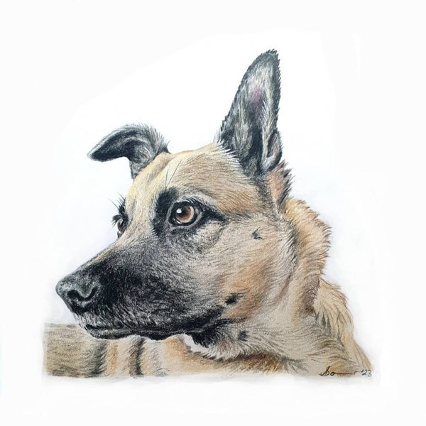 Anfertigung 12x12cm  Tierportrait malen lassen, Bleistiftzeichnung zeichnen lassen, Hundeportrait/ Pferdeportrait nach Foto personalisiert