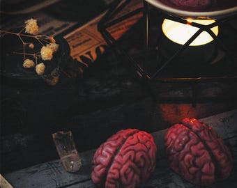 Melted Brains Wax Melts (Set of 4) | Gothic Wax Melts | Coconut Wax | Ritual Fragrance Set