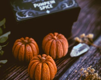 Pumpkin Wax Melts (Set of 6) | Pumpkin Spice Wax Melts | Gothic Autumn Decor | Coconut Wax