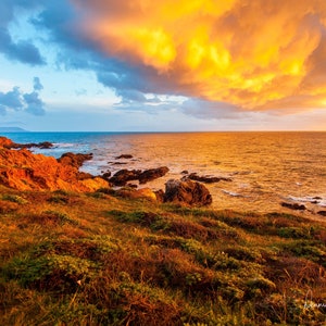 Harmony Headlands Gold, Central Coast of California