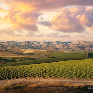 Central Coast Wine Country - San Luis Obispo County, California