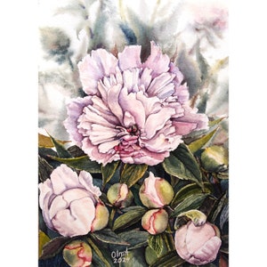 Pfingstrose Blumen Aquarell Malerei, Original Kunst, Floral Botanische, Weiß Rosa Pfingstrosen, Haus Wand Dekor, Geschenk Einzigartige Grafik Ukrainischen Künstlers