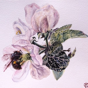 Dipinto floreale ad acquerello con fiori di melo e ape - Decorazione murale unica, arte originale, opera d'arte botanica, regalo, artista ucraino