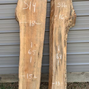 Sycamore live edge slabs/ live edge/ wood slabs/ sycamore