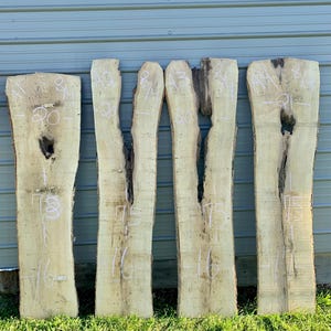 White ash slabs/ live edge slabs/ live edge