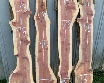 Catalpa Wood Slab, Live Edge Slab, Figured Catalpa Wood Slabs, DIY