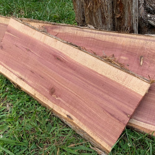 810 Wide Live Edge Cedar Slabs/ Cutting Boards/ Cedar Etsy