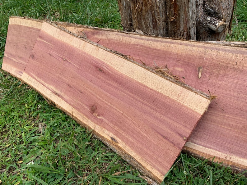 810 Wide Live Edge Cedar Slabs/ Cutting Boards/ Cedar Etsy
