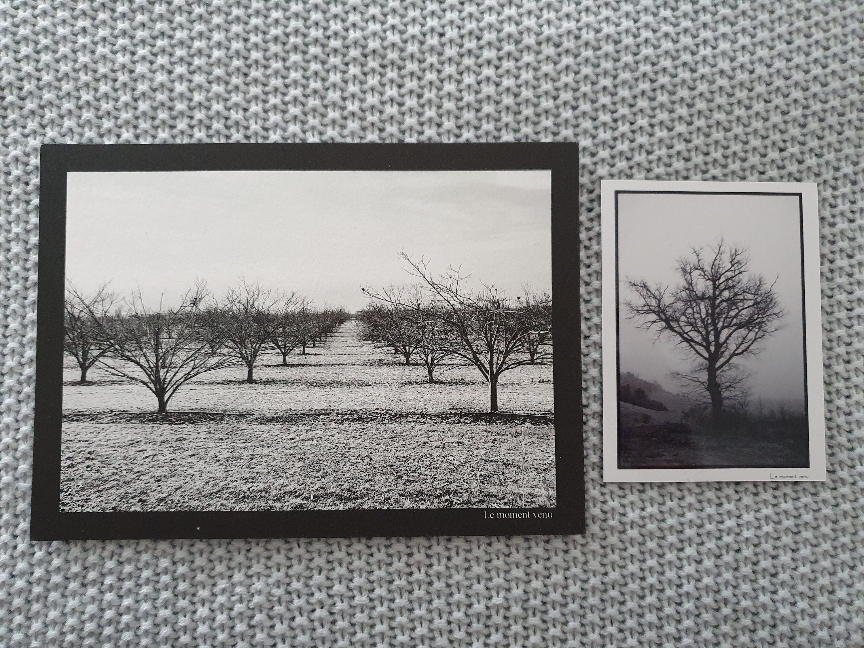 Pack Carte Postale + Magnet Nature et Arbres - Paysage Drôme Brumeux- Aimant Souple 8x10cm Postale 1