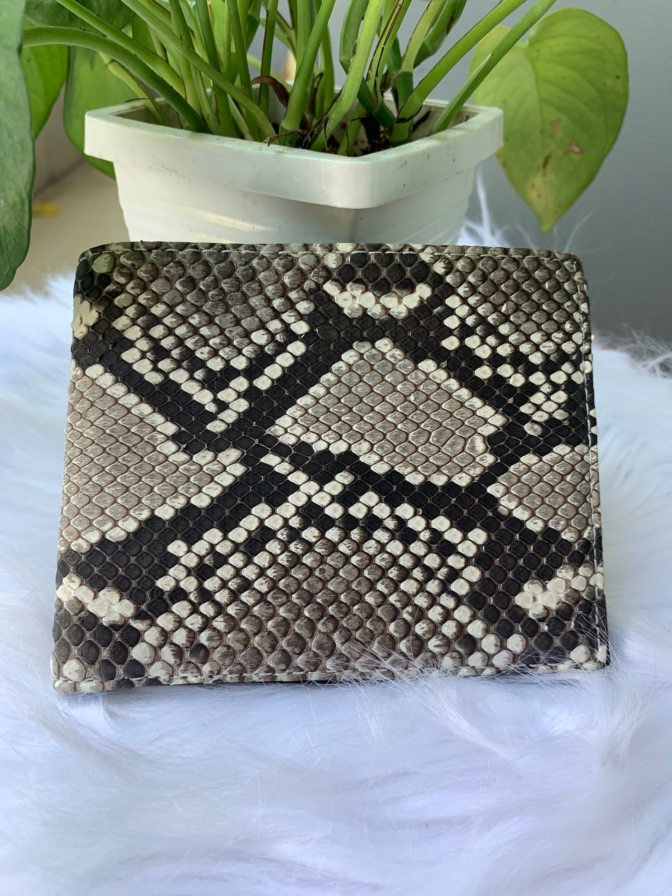 Python credit card holder, hand-painted silver