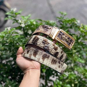 May include: Three brown and white leather belts with a gold buckle. The belts are stacked on top of each other.