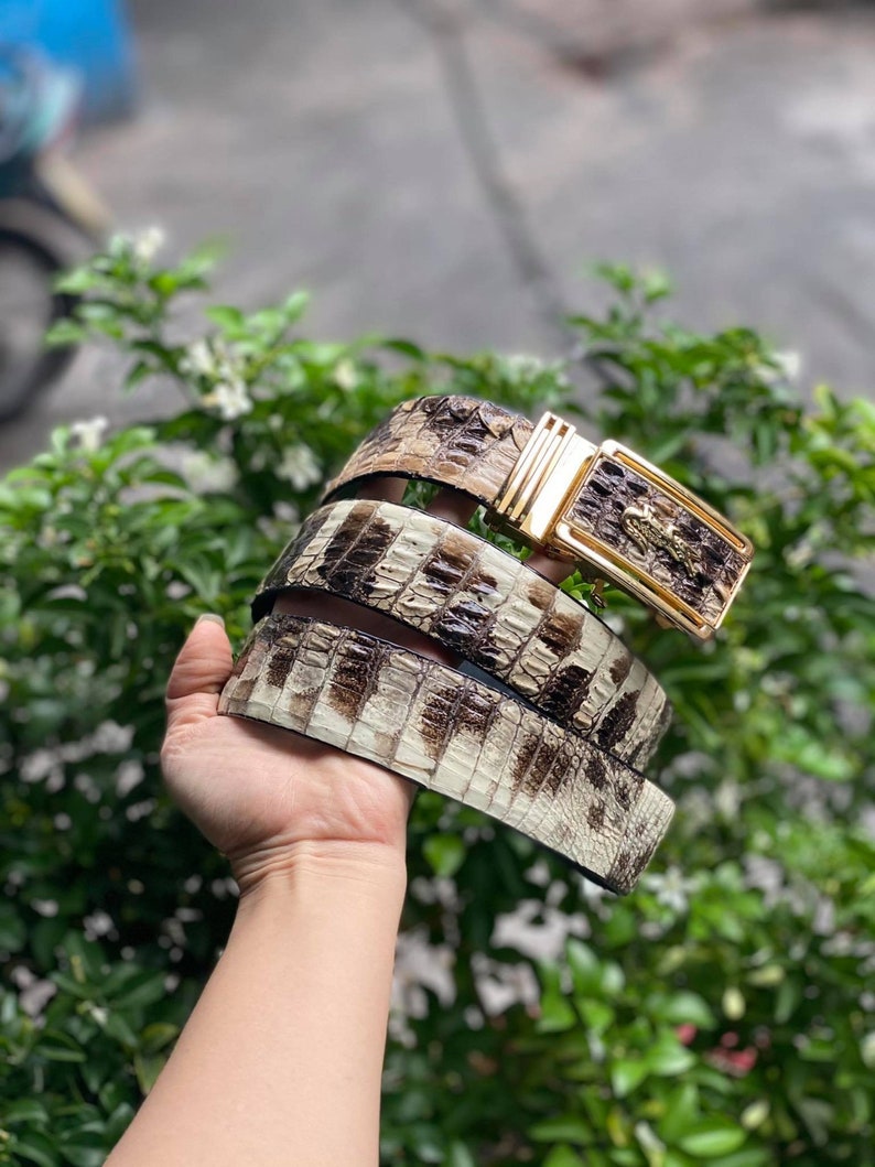 May include: Three brown and white leather belts with a gold buckle. The belts are stacked on top of each other.
