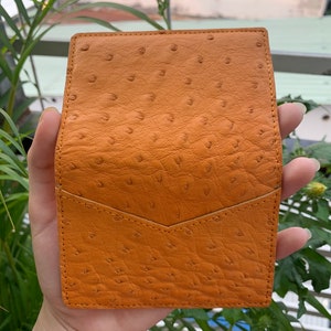 Puede incluir: Una peque&ntilde;a cartera de cuero naranja con un patr&oacute;n texturizado de piel de avestruz. La cartera tiene un cierre de solapa y un solo bolsillo en la parte delantera.
