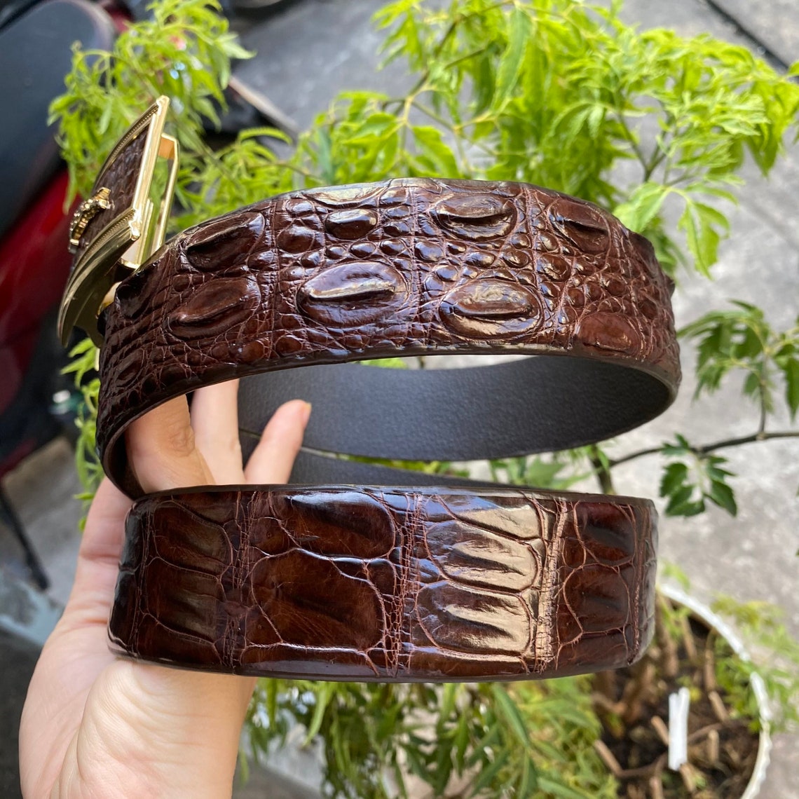 Brown Crocodile Alligator Leather Belt for Men Mens handmade Etsy