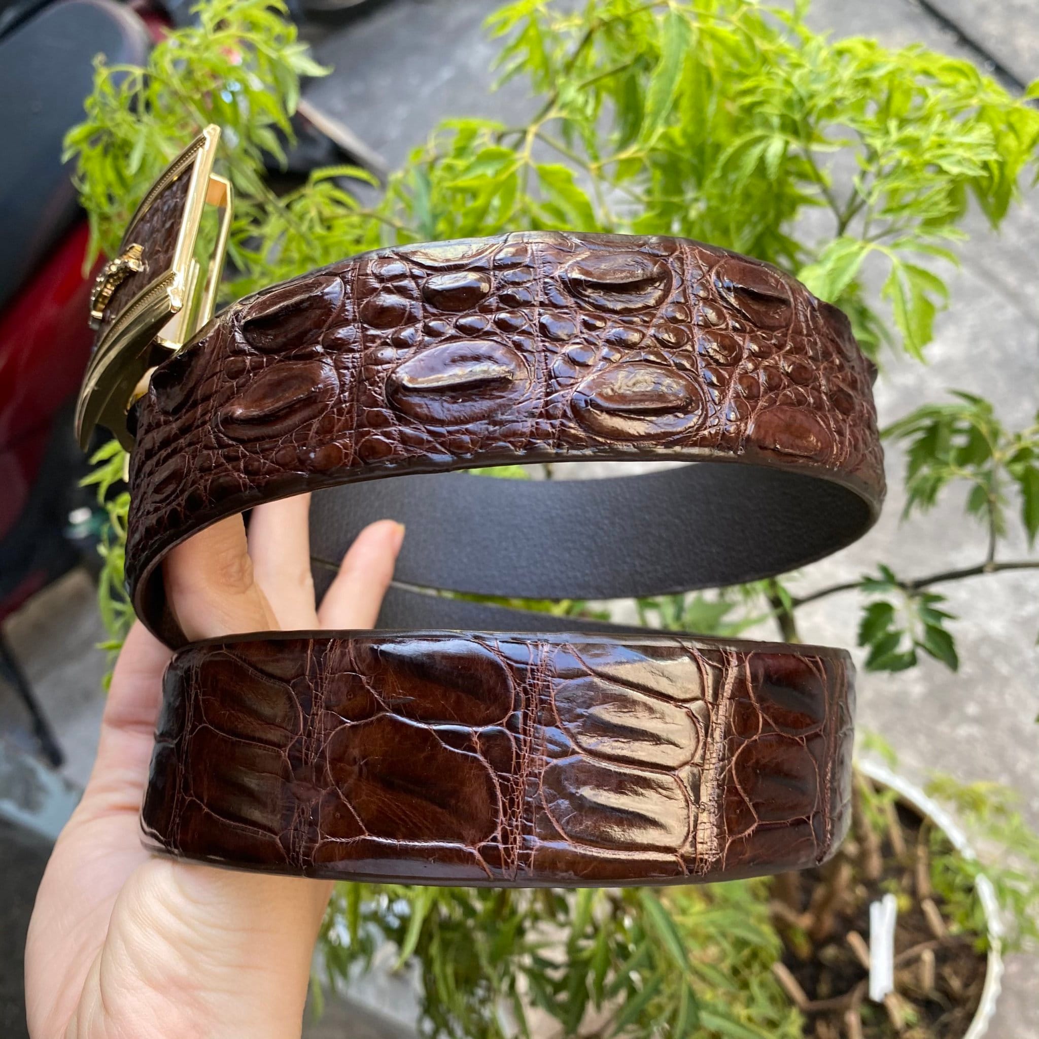 Brown Crocodile Alligator Leather Belt for Men Mens handmade Etsy