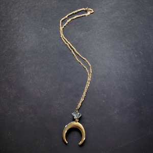 Crescent Moon Horn and Raw Aquamarine Long Necklace On Tarnish Resistant 18k Gold Plated Chain