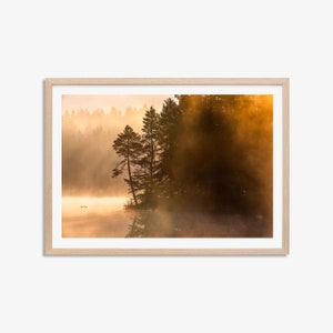 Forest Print, Sunrise Wall Art, Switzerland Nature Print, Living Room Decor, Lake, Fog, Wildlife, Landscape Photography by Jennifer Esseiva.