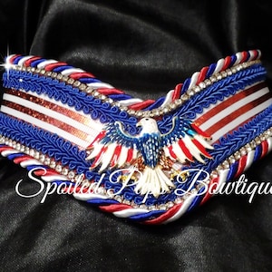 May include: A V-shaped pet collar featuring a central bald eagle emblem with red, white, and blue wings. The collar is decorated with braided red, white, and blue trim, rows of clear rhinestones, and blue gimp trim. The text Spoiled Pups Bowtique is visible.