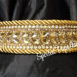 Golden Rhinestone Collar