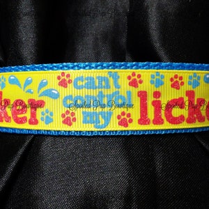 May include: Yellow dog collar with blue trim and red glitter text that reads "Can't control my licker". The collar is decorated with paw prints and water droplets.