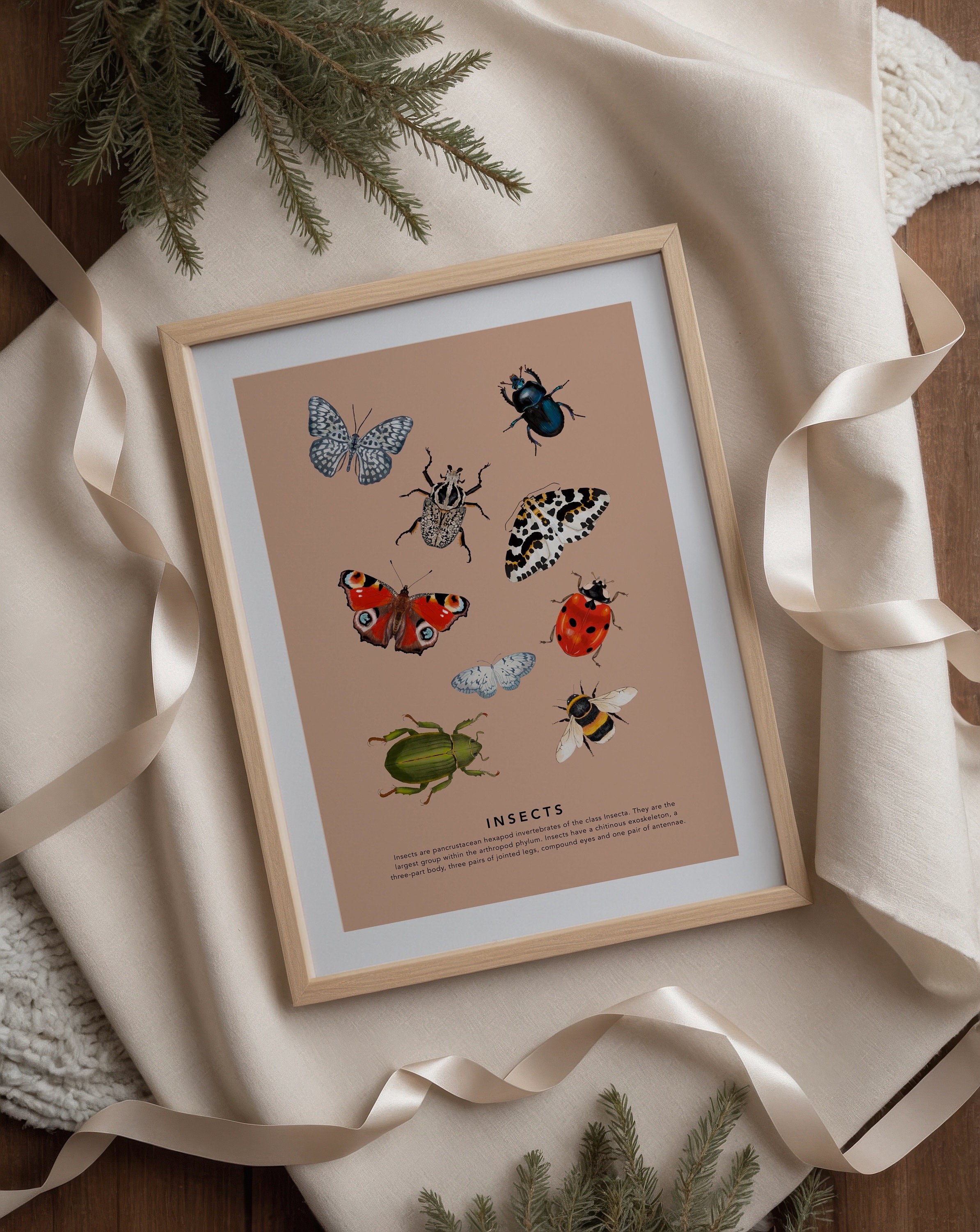 【アンソロポロジー】Insects in Bell Jars Wall Art INSTANT DOWNLOAD Larousse Insects Bugs Beetles Entomology