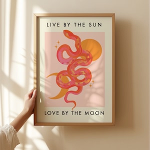 May include: A framed print featuring a pink and orange snake illustration with the text "Live by the sun, Love by the moon".