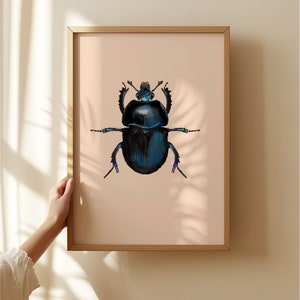 Blue Mint Beetle Original Illustration, Black Beetle Art Print, Insects Gallery Wall, Vintage Insect Print, Entomological Art Print,