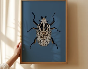 Goliath Käfer Kunstdruck: Vintage entomologische Illustration